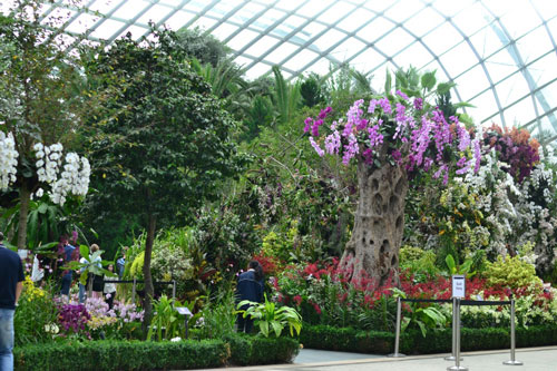 Inspirasi-untuk-Percantik-Halamanmu-dari-Taman-taman-Terbaik-di-Dunia.jpg