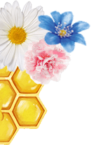 bunga madu